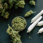 Using Cannabis for Pain Management